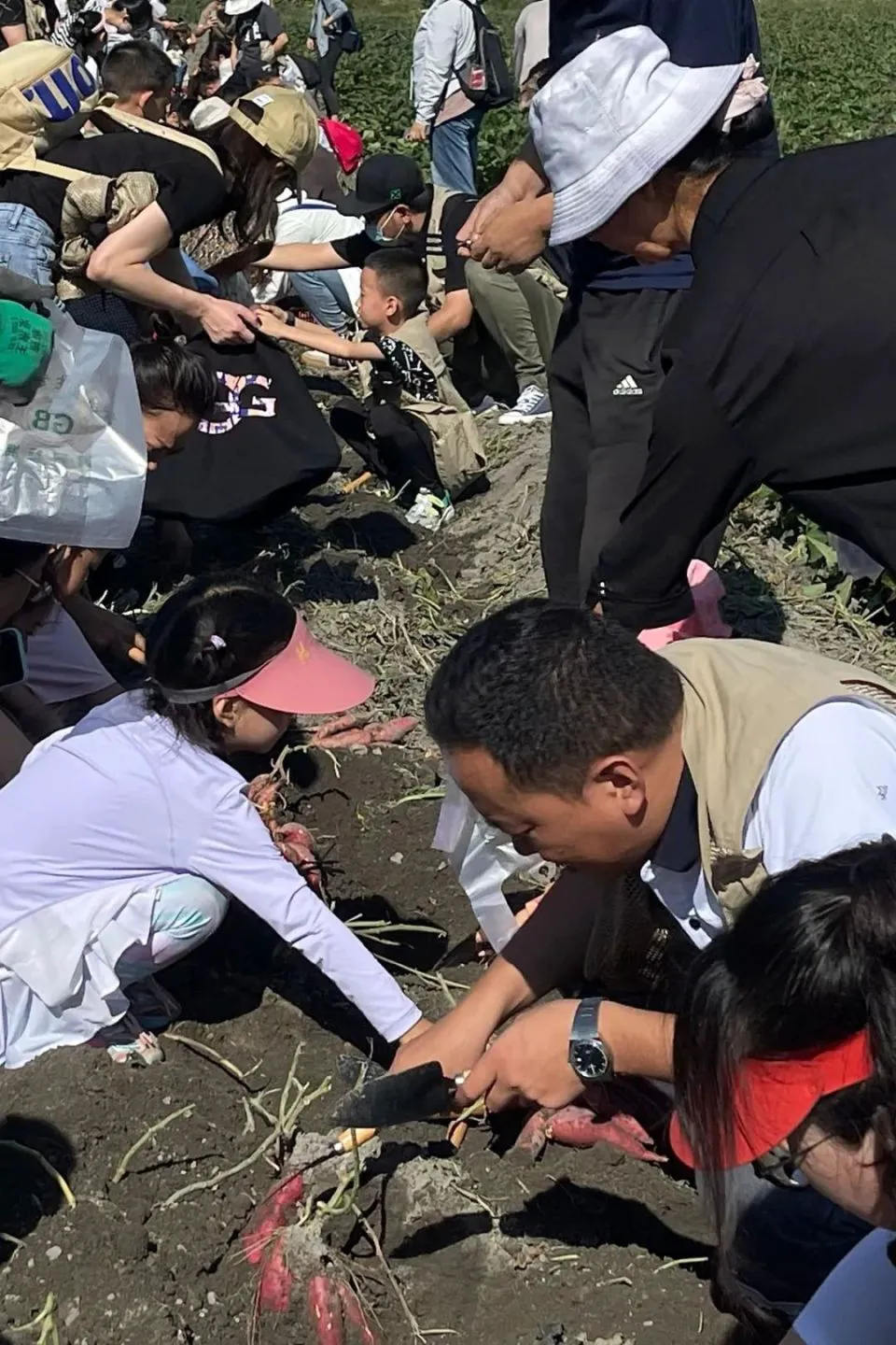 篮球体能训练计划模板大学生_1